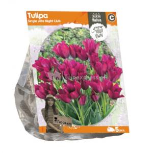 Baltus Tulipa Single Late Night Club tulpen bloembollen per 5 stuks
